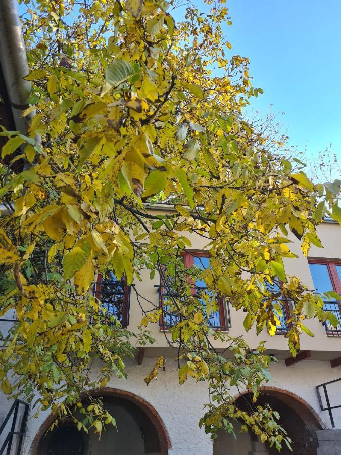 Palantir Panzio Bed & Breakfast Miskolc Ngoại thất bức ảnh